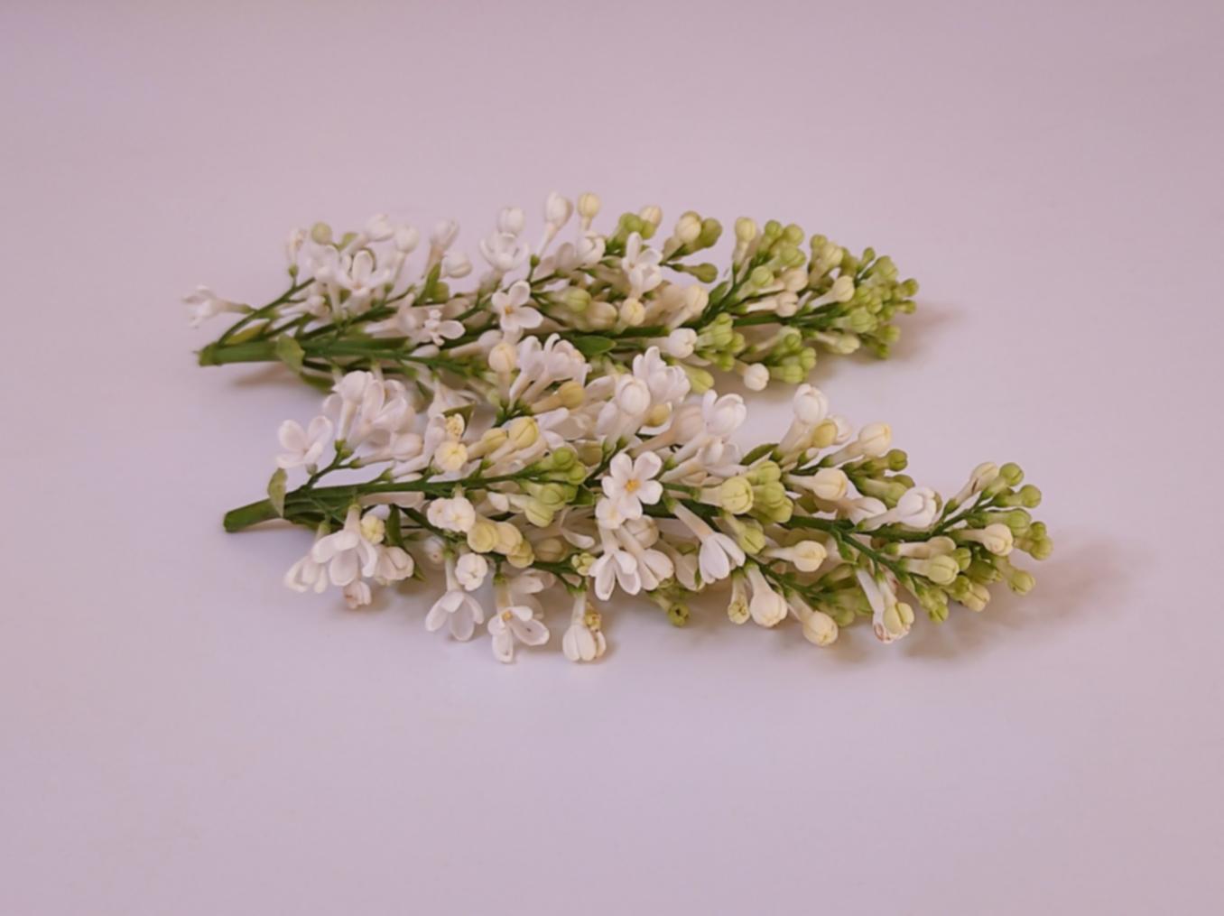 Floristry workshop table with fresh flowers and professional tools